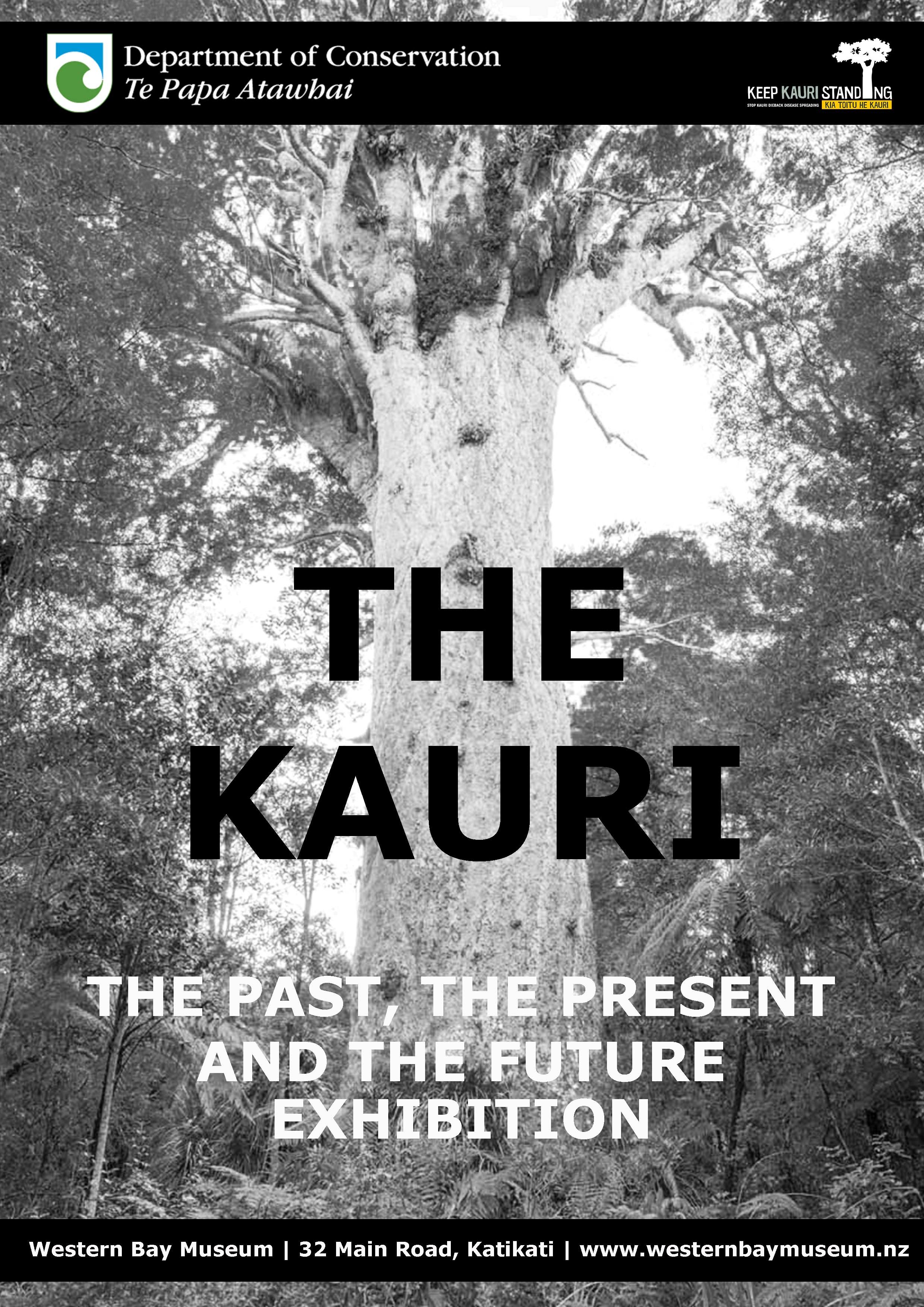 Découvrez l'exposition "The Kauri, the Past, the Present and the Future", du 15 juin au 1er décembre 2019 et apprenez-en plus sur l'arbre kauri, au Western Bay Museum de Katikati (Nouvelle-Zélande)