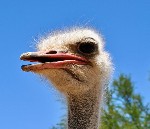 37634