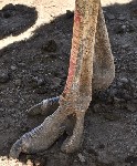 37635