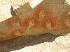 15013
