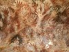 15016