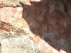 15017