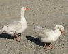 9476