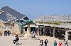 16875