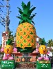 16890