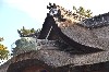 16647