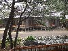 21643