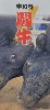 13277