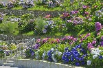 39811