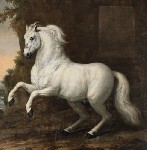 43726