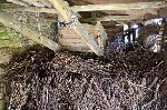 39182