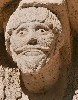 26445
