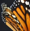 18202