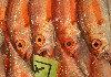 5043