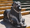 6146
