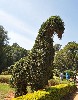 6155