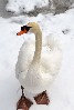 7585