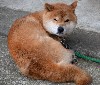 7362
