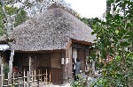 209
