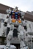8088