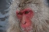 11409