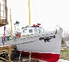 31651