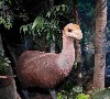 30519