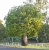 30730